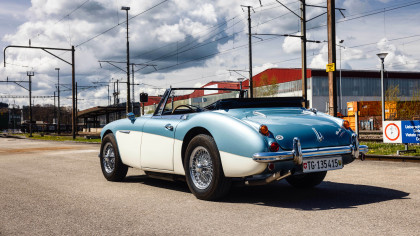 Austin Healey mieten  Schweiz