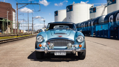 Austin Healey MKIII mieten