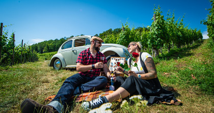 VW Käfer Vermietung Schweiz