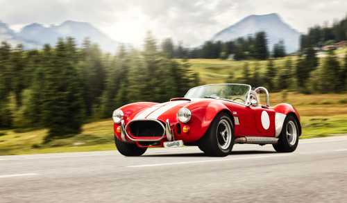 Stundenmiete der Woche Cobra "Bonnie"